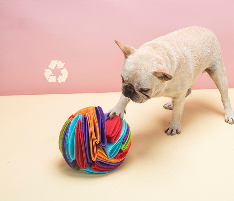 Faltbarer Schnüffelball für Hunde – Bild 2 | LuxeStyle