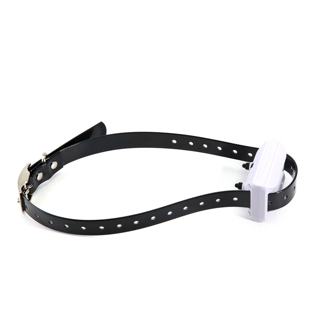 Unfetterter Freiraum für deinen Hund | LuxeStyle