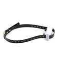 Unfetterter Freiraum für deinen Hund | LuxeStyle
