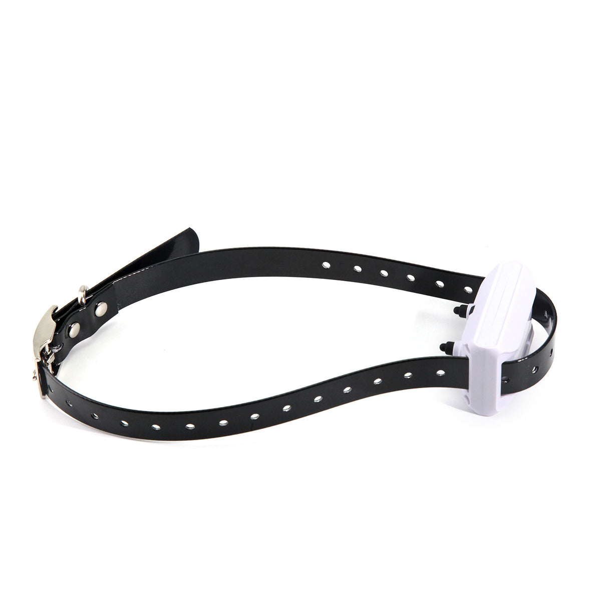 Unfetterter Freiraum für deinen Hund | LuxeStyle