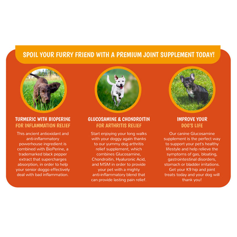 Gelenk-Supplement für Hunde & Katzen