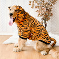 Tiger Kostüm für Golden Retriever | LuxeStyle