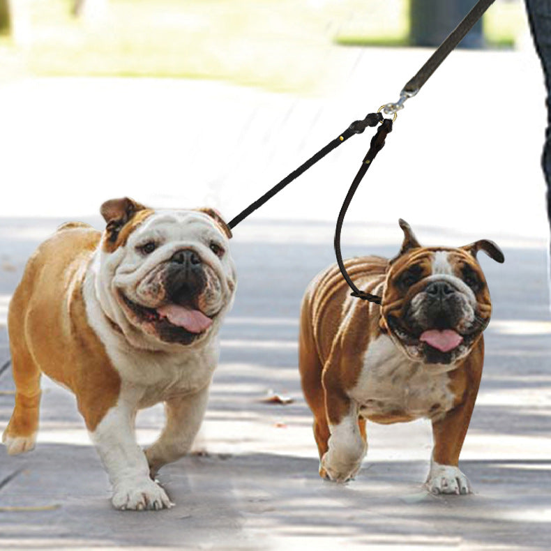Rindsleder-Doppelhaken-Leine für zwei Hunde | LuxeStyle