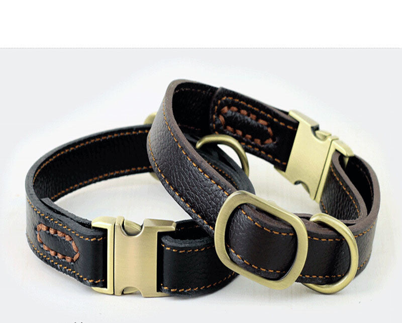 Leder Hundekragen – Bild 3 | LuxeStyle