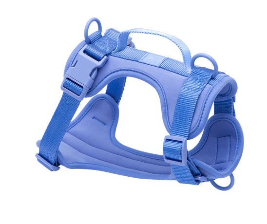 Haustier-Halsbandset mit Leine – Bild 10 | LuxeStyle