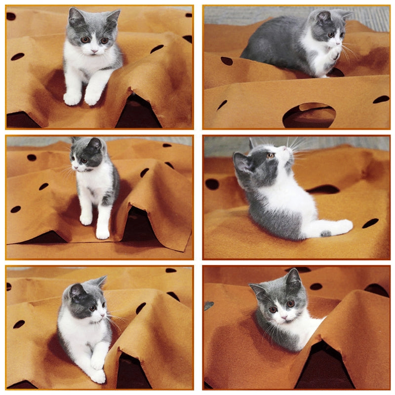 Katzen-Spielmatte – Bild 3 | LuxeStyle