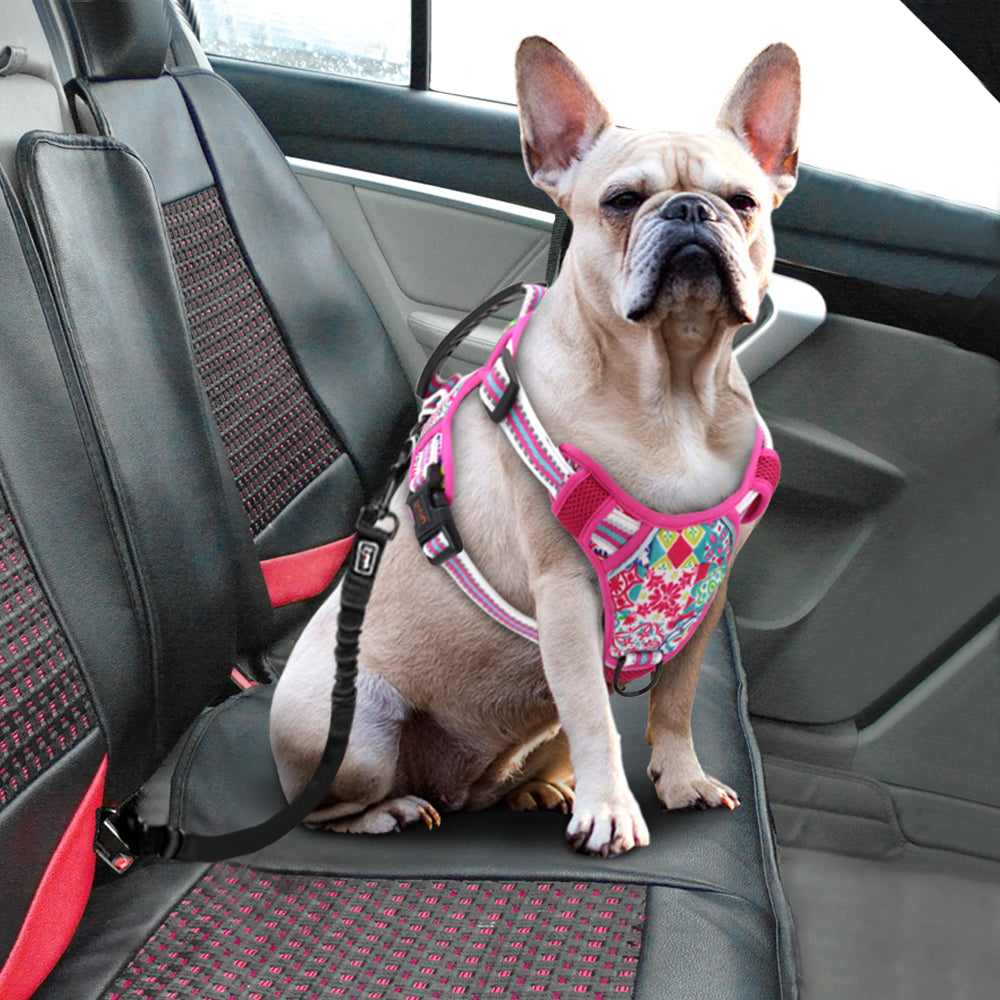 Hundegeschirr mit Leine (S-M-L) – Bild 6 | LuxeStyle