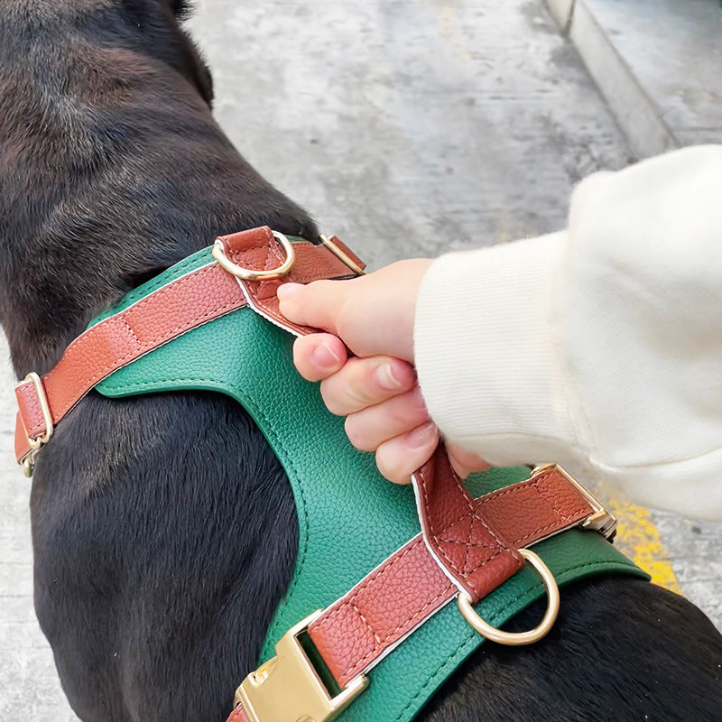 Luxus-Leder-Hundeharnisch und Leine