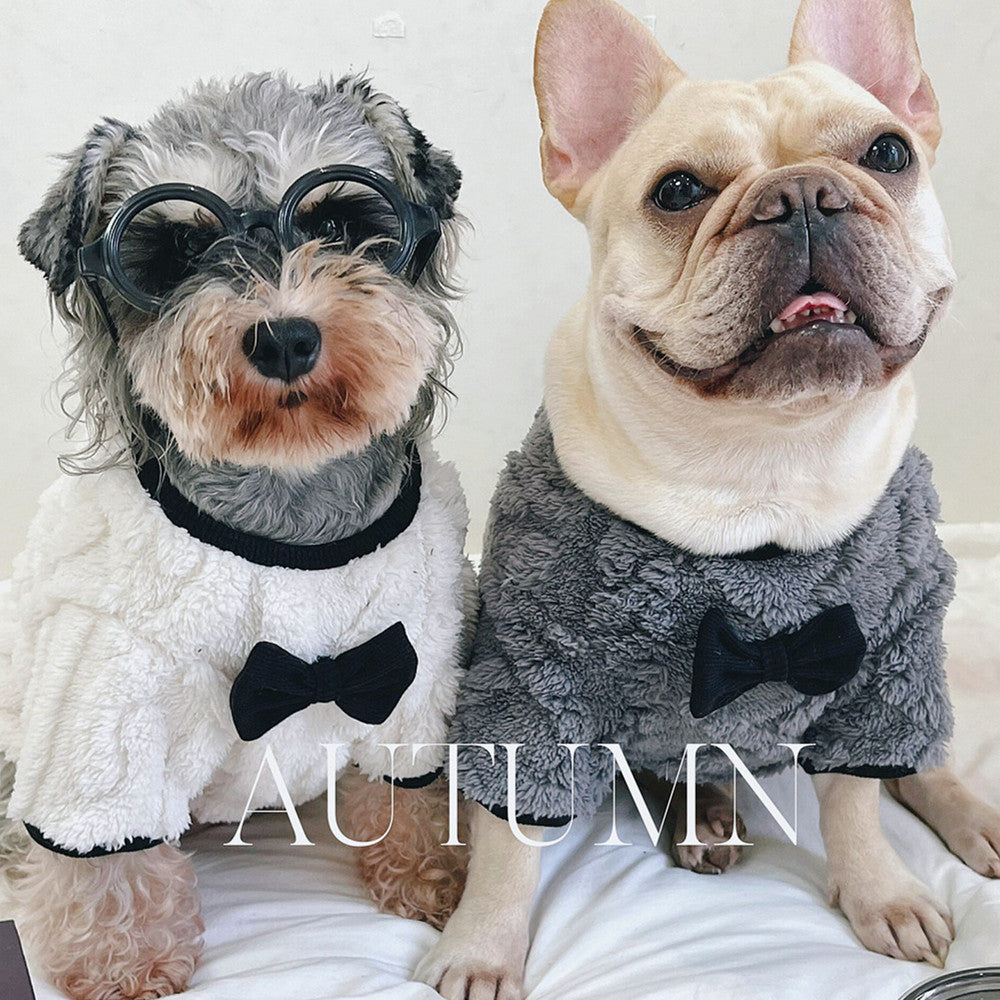 Beige‑Vellour‑Tunika für Corgi mit französischem Bogen – Bild 2 | LuxeStyle
