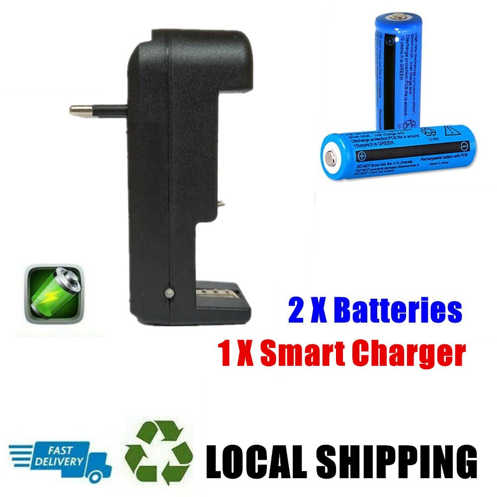 Akku-Ladegerät mit 2 Li-Ion Akkus 3.7V 3000mAh