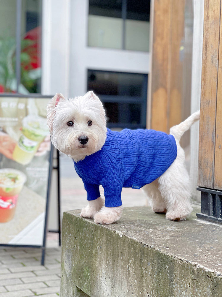 Bichon Corgi Winterpullover Blau – Bild 11 | LuxeStyle