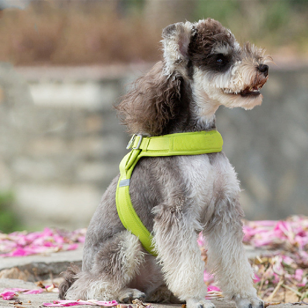 Hunde-Geschirr für kleine und mittlere Hunde – Bild 13 | LuxeStyle