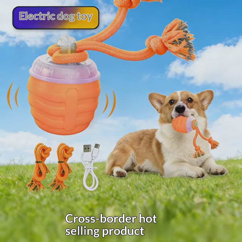 Beissfester Haustier-Traktionsball mit USB-Ladung