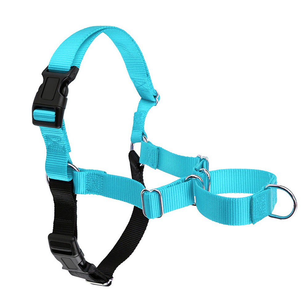 Hundehalsband für Spaziergänge | LuxeStyle