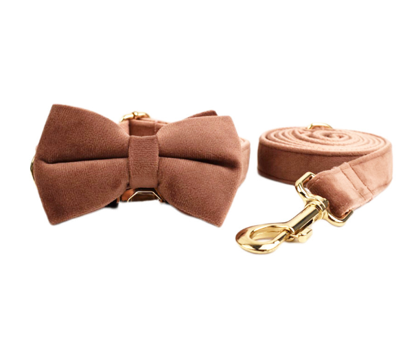 Samtiges Haustierhalsband mit Leine – Bild 4 | LuxeStyle