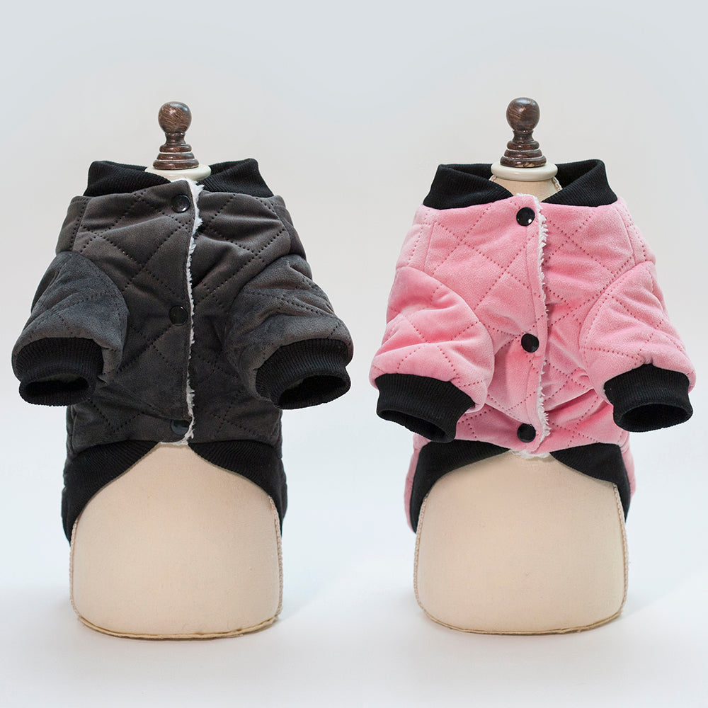 Karierte Winterjacke für kleine Hunde