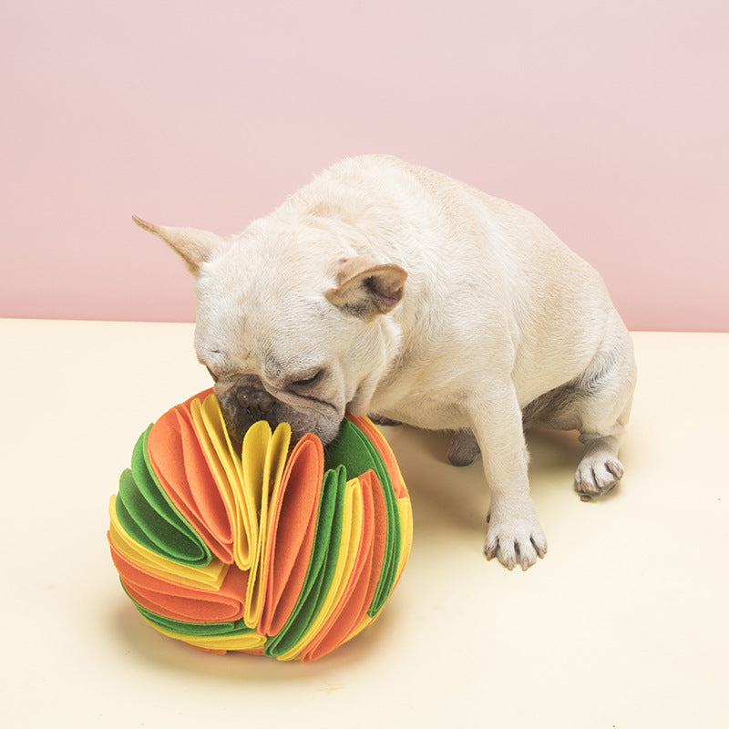 Schnüffelball aus Filz für Hunde & Katzen – Bild 10 | LuxeStyle