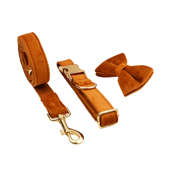 Samtiges Haustierhalsband mit Leine – Bild 8 | LuxeStyle