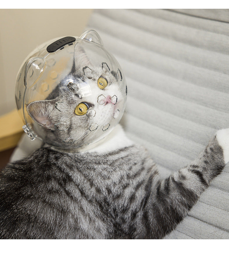 Anti-Kratz- und Leckschutz für Katzen – Bild 5 | LuxeStyle