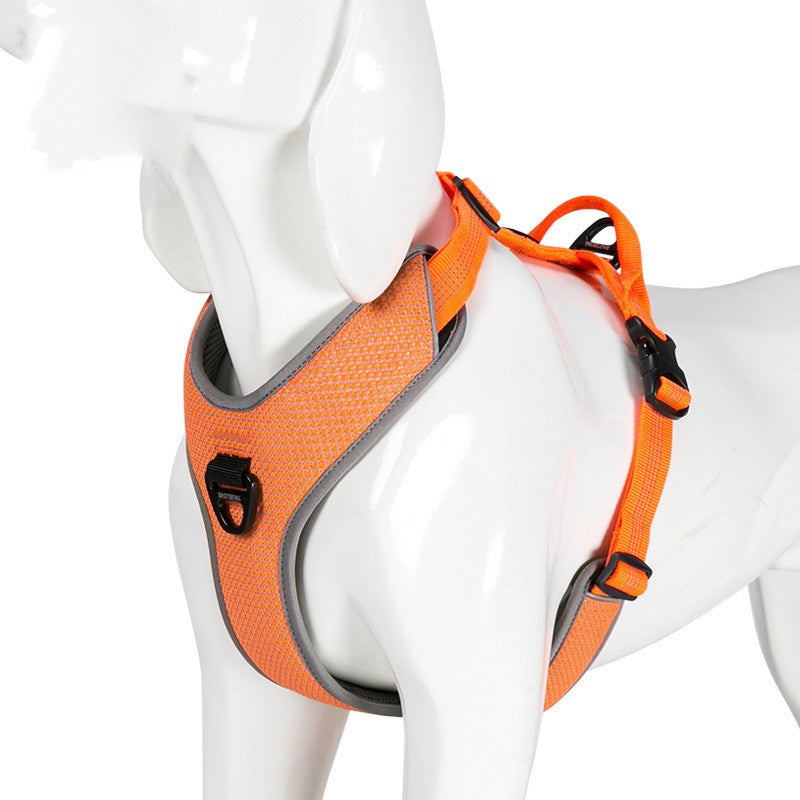 Hundegeschirr mit Reflektor – Bild 4 | LuxeStyle