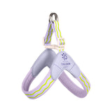 Farbe: Violett