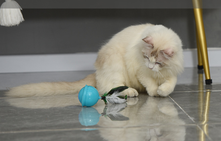 Interaktiver Katzenball mit Ladestation – Bild 5 | LuxeStyle