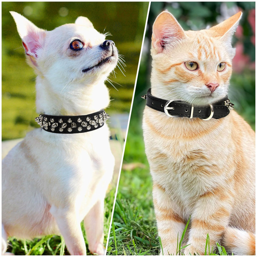 Stachelhalsband für kleine Hunde
