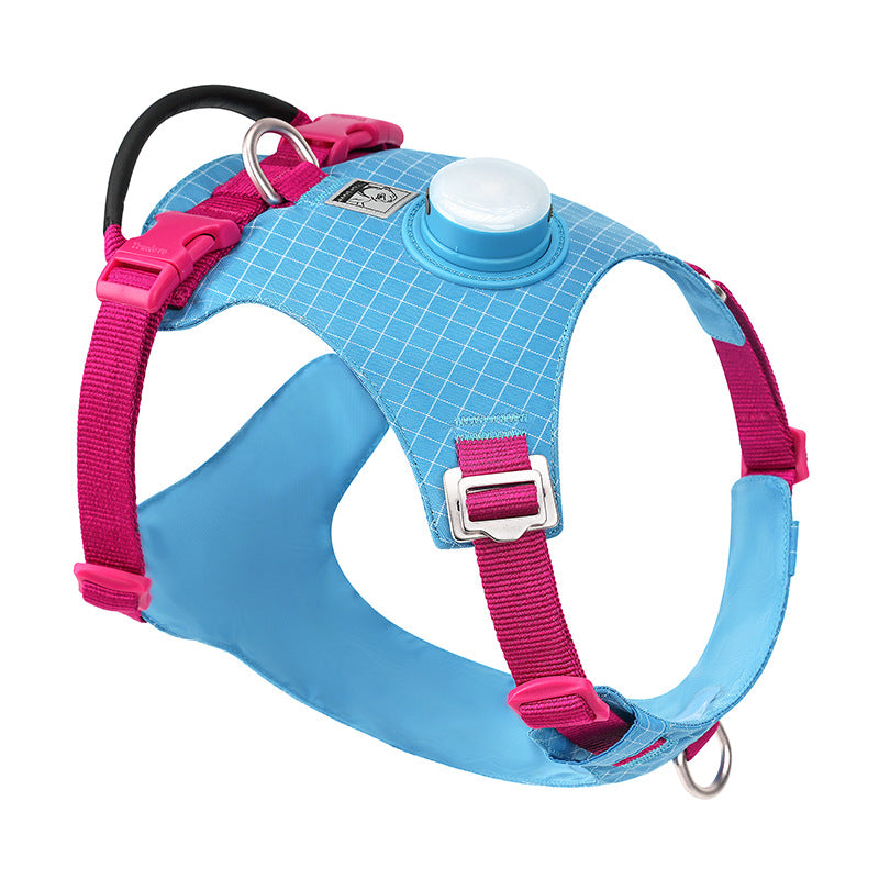Hundegurt mit LED-Nachtlicht