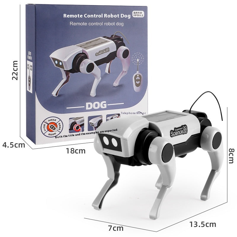 RC Mechanischer Hund & Katze 2-in-1 Bausatz