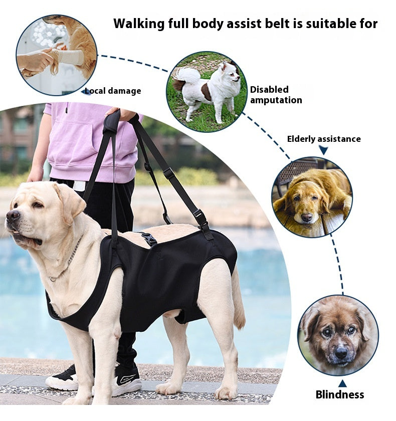 Hundetragetuch