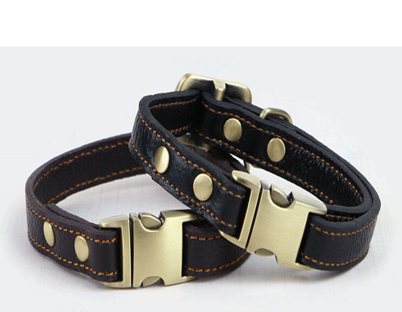 Leder Hundekragen – Bild 6 | LuxeStyle