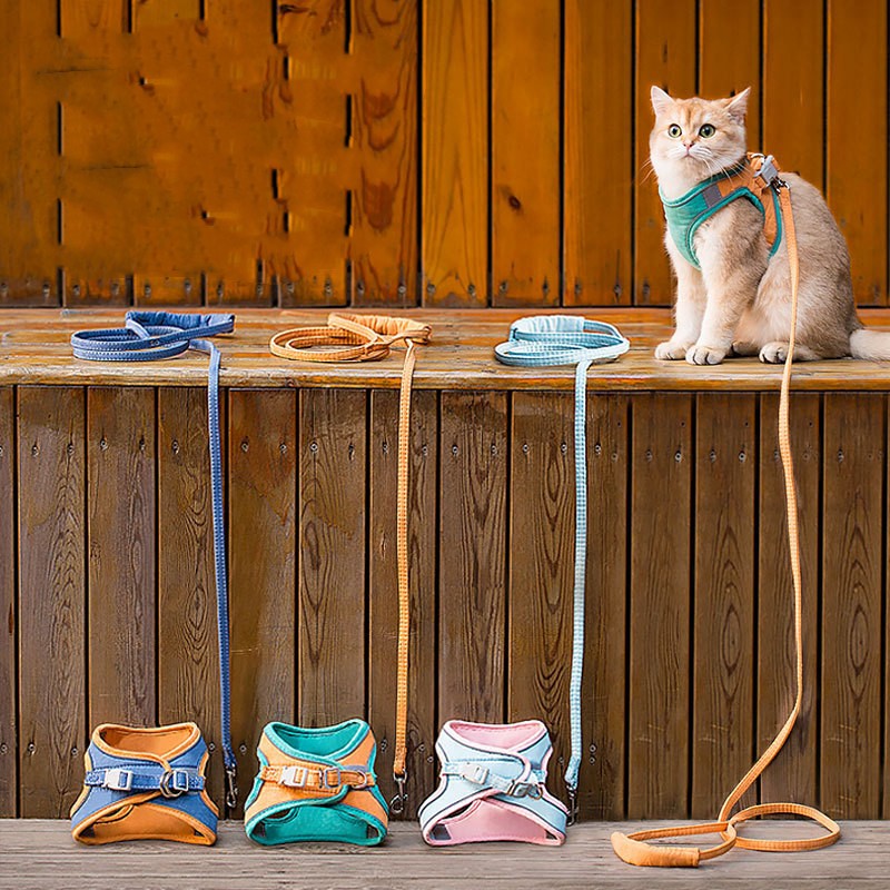 Reflektierendes Katzengeschirr mit Zugseil – Bild 11 | LuxeStyle