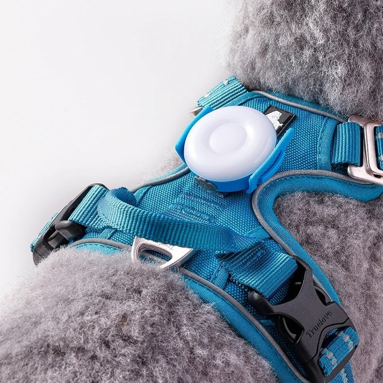 LED-Sicherheitslicht für Hunde