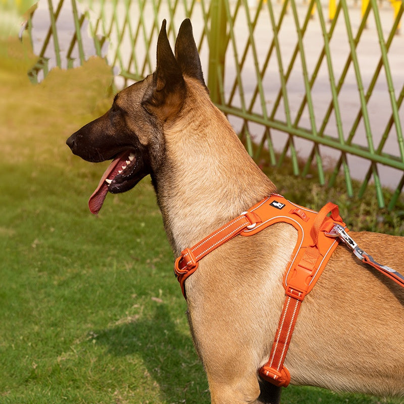 Reflektierendes Tarn-Brustgeschirr für Hunde