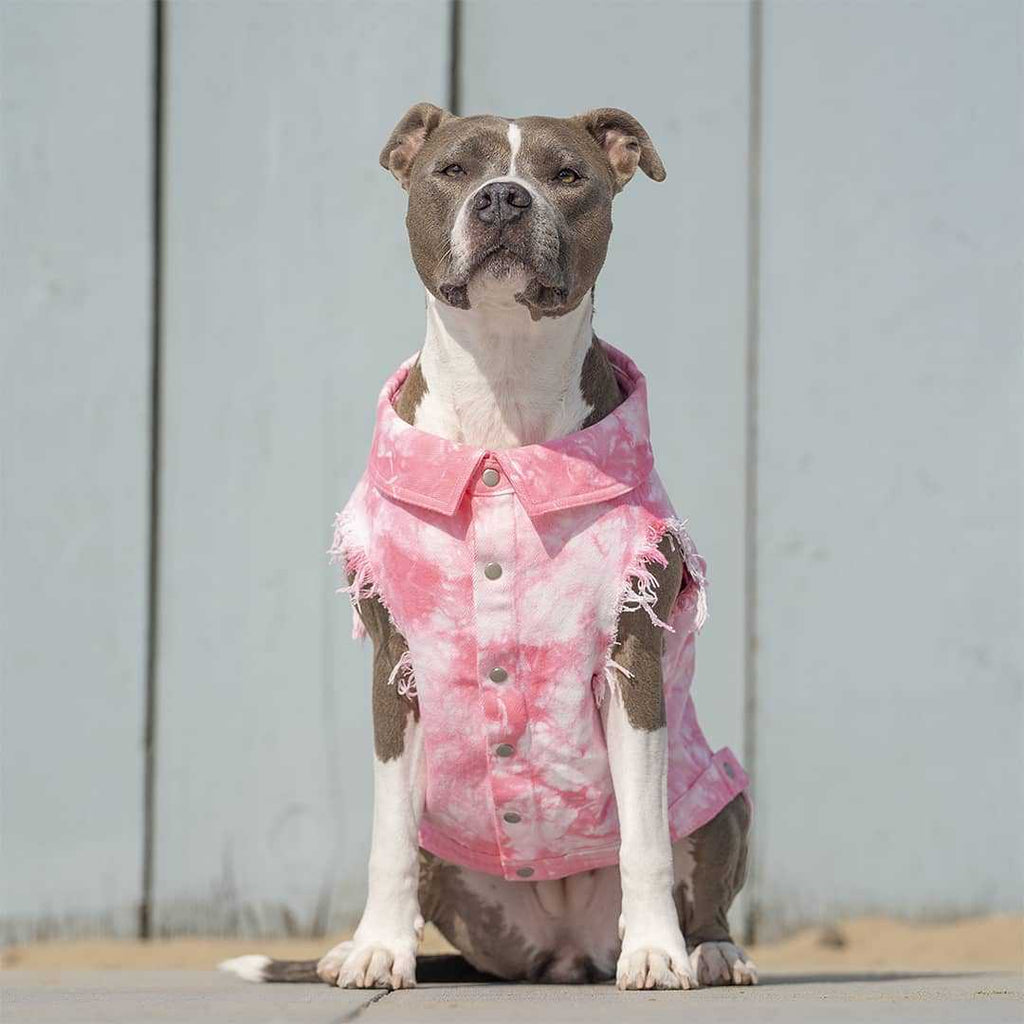 Hundeweste in Jeansoptik