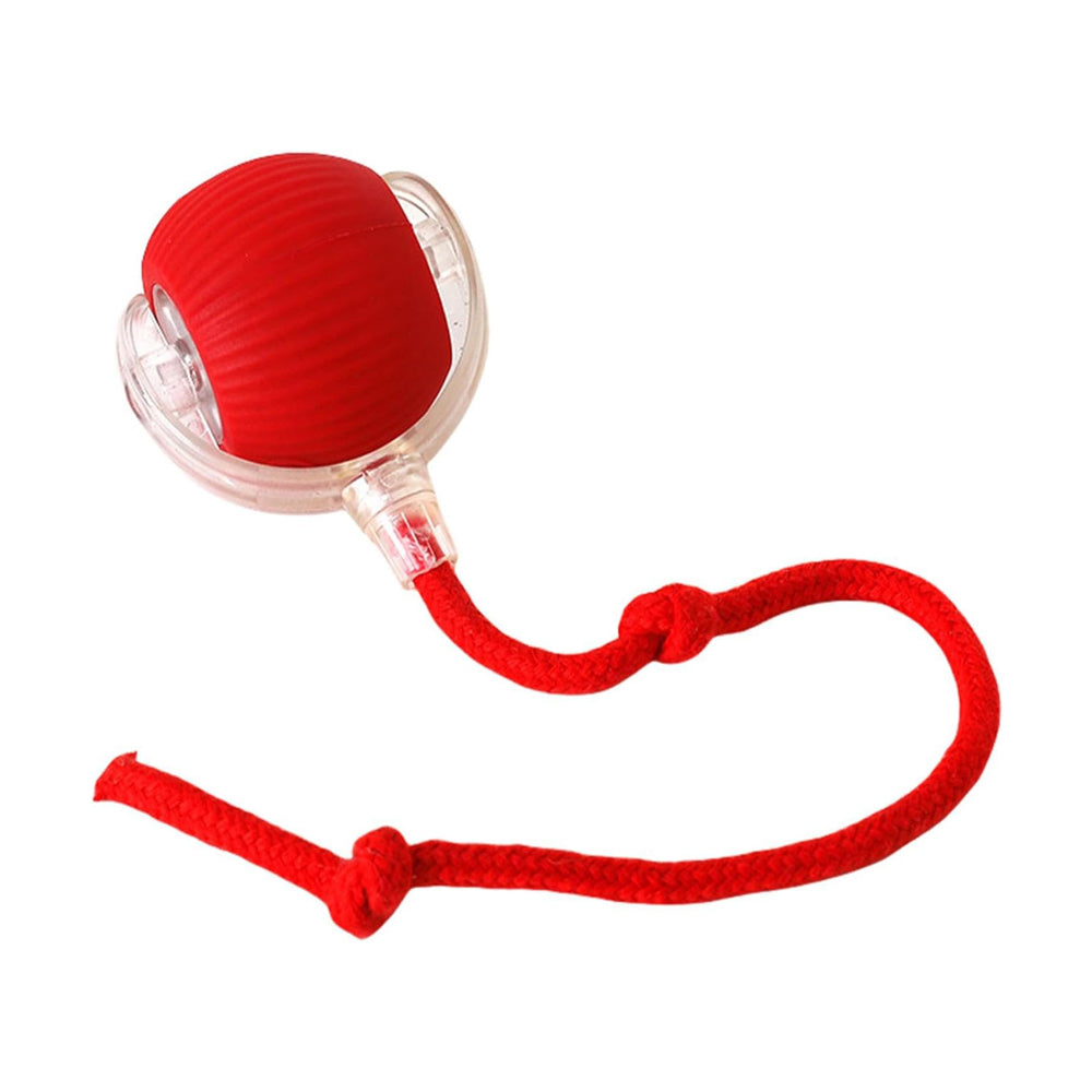Interaktiver Rollball für Haustiere