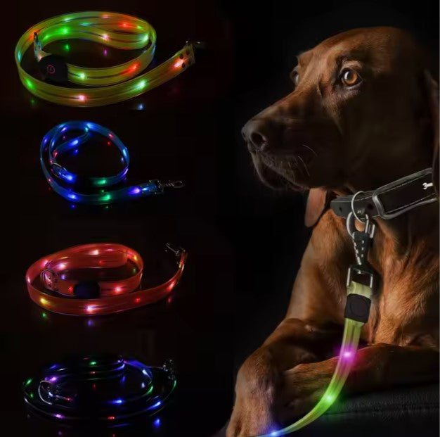 Leuchtendes Hundehalsband – Bild 3 | LuxeStyle