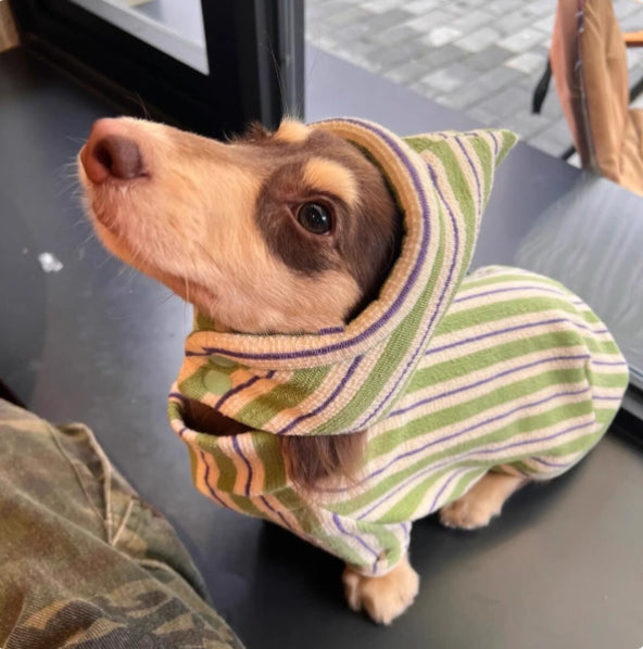 Hundeweste Herbst/Winter – Bild 4 | LuxeStyle