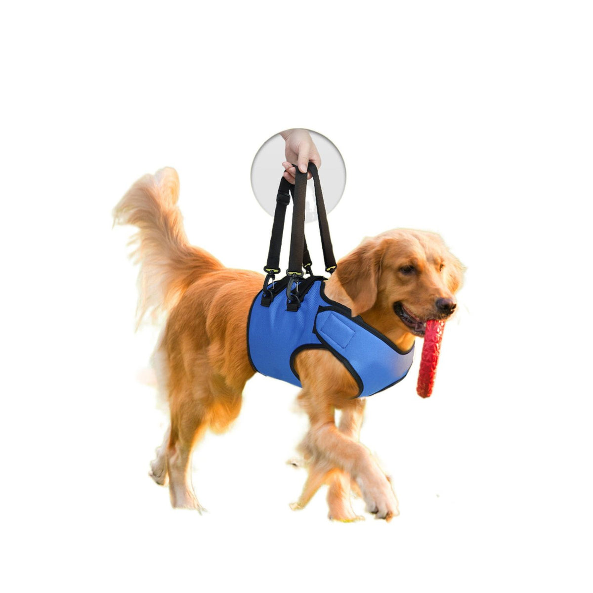 Hundegeschirr für Rehabilitation und Training – Bild 5 | LuxeStyle
