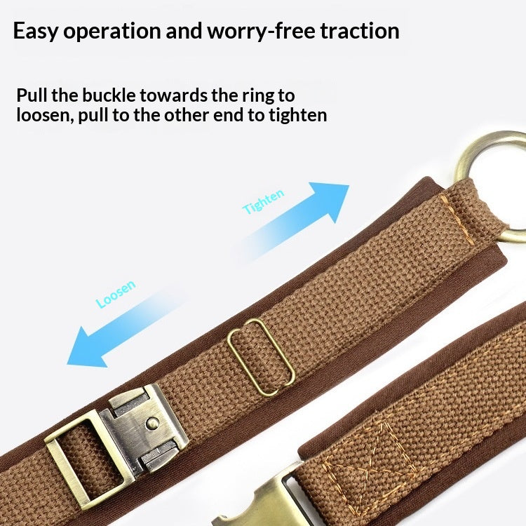 Verlustsicherer Hundehalsband