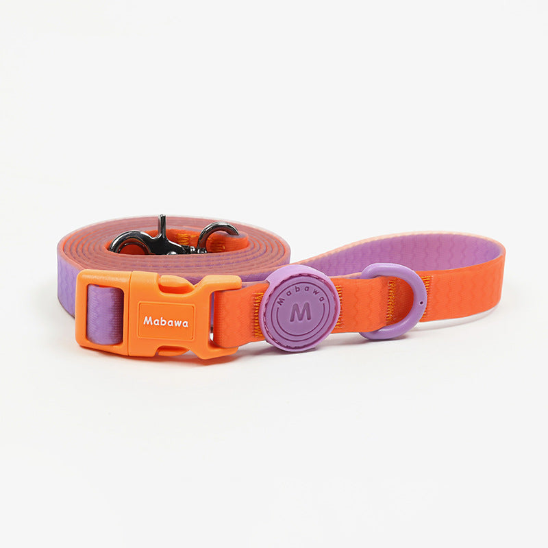 Wasserdichtes Nylon-Hundehalsband mit Leine – Bild 3 | LuxeStyle