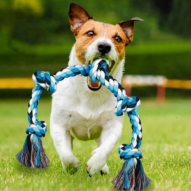 XXL Seilspielzeug für grosse Hunde