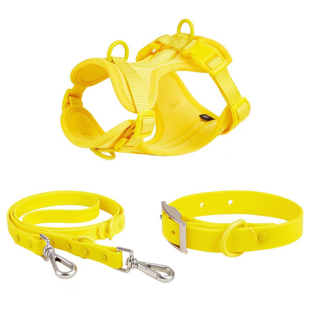 Haustier-Halsbandset mit Leine – Bild 9 | LuxeStyle