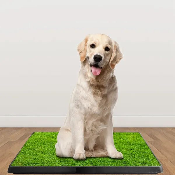 Hunde-WC mit Kunstrasen für Welpentraining