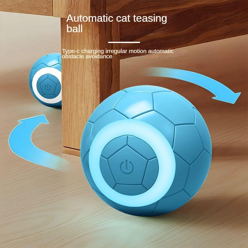 Elektrischer Spielball für Haustiere