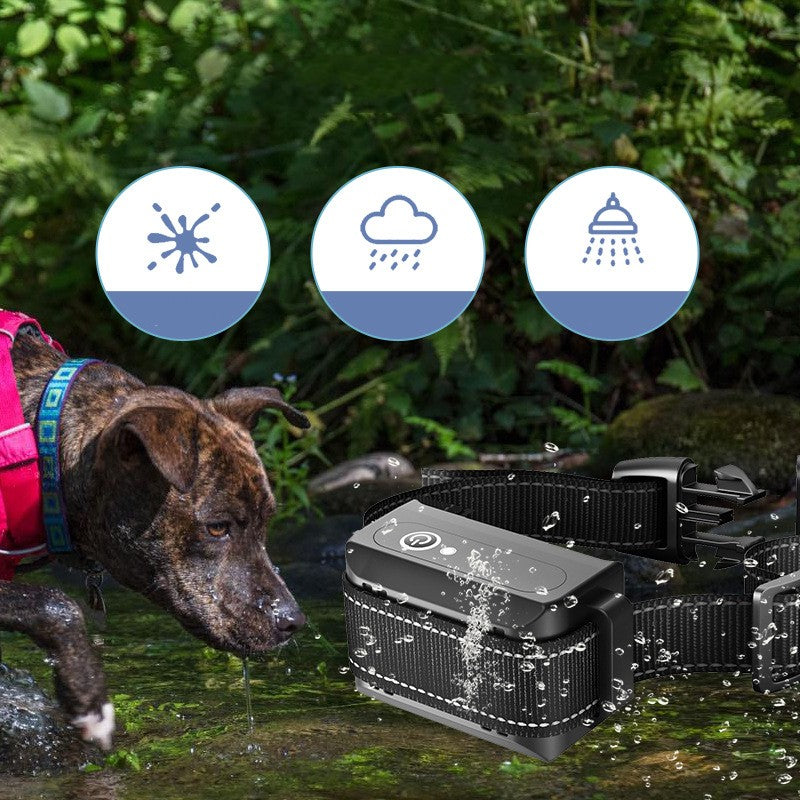 Automatisches Anti-Bell Halsband für Hunde