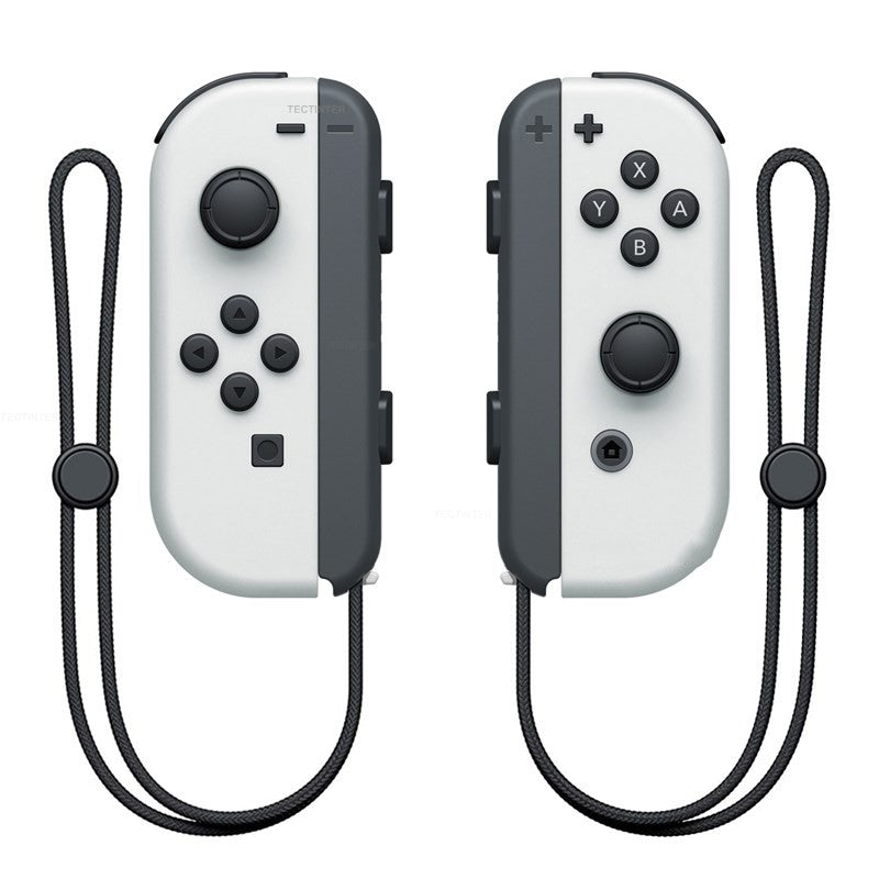 NS Dual Gamepad mit Handschlaufe