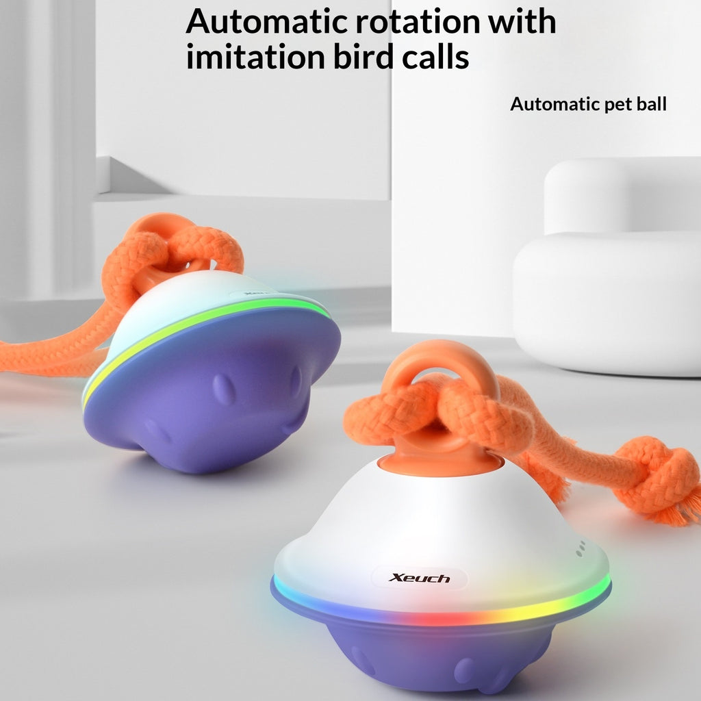 Automatisch Ballwurf Spielzeug für Haustiere