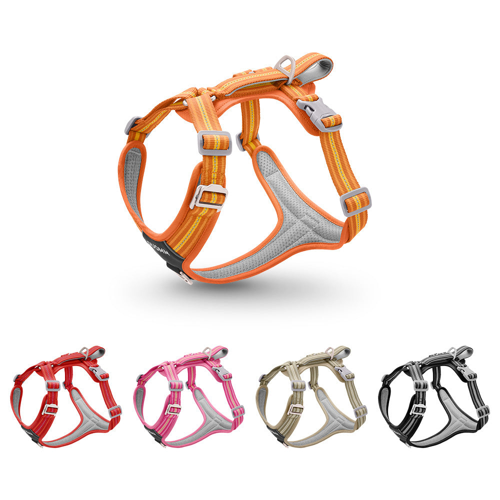 Reflektierendes Hundehalsband