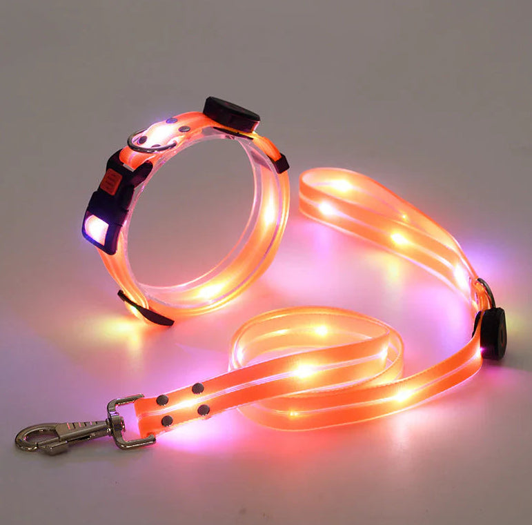 LED Leuchtcollar mit Zugleine, wiederaufladbar – Bild 5 | LuxeStyle